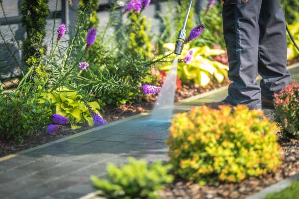 Best Parking Lot and Garage Cleaning  in St Clair, PA